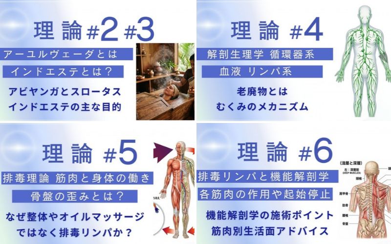機能解剖学や生理学を学ぶ理論講座